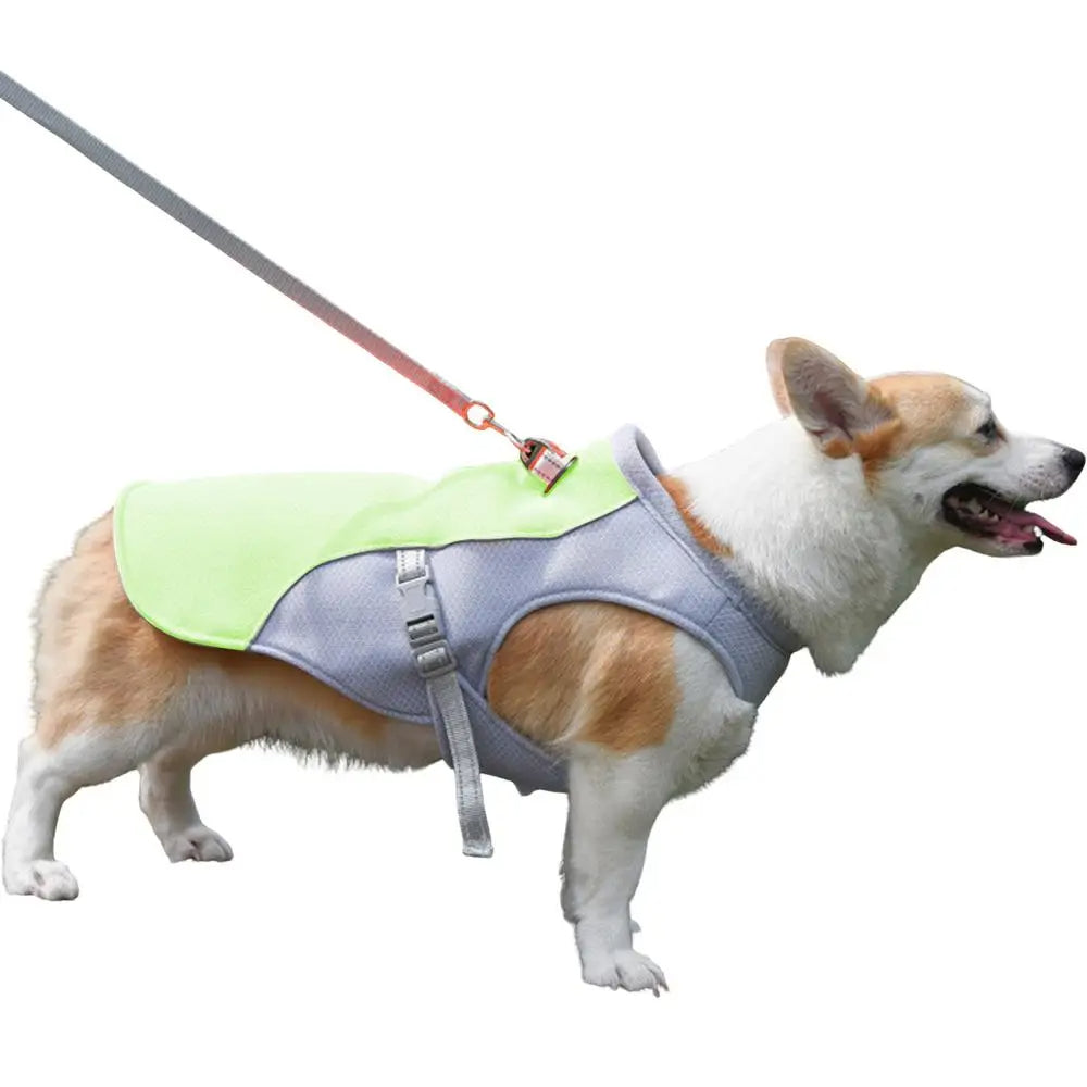 Dog Cooling Vest for Outdoor Activities 8