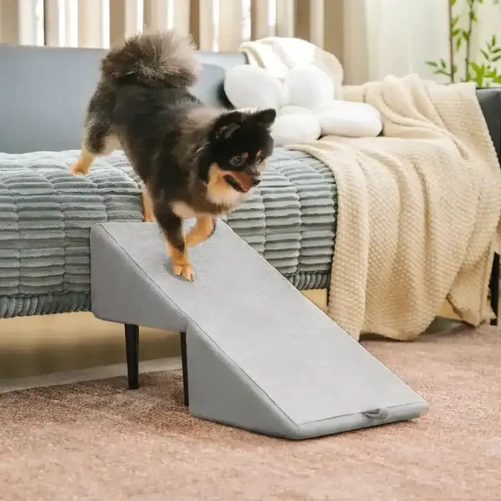 2-in-1 Convertible Dog Ramp and Step Stool 2