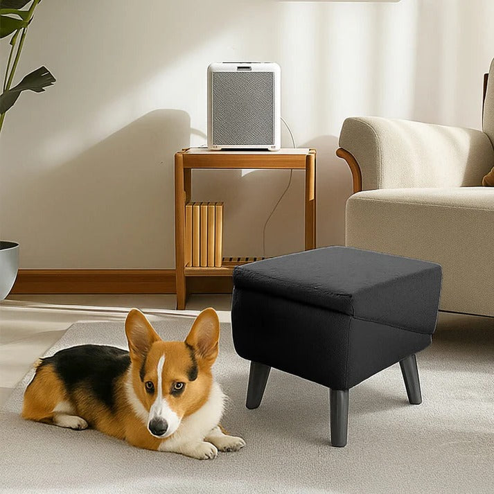 2-in-1 Convertible Dog Ramp and Step Stool 4