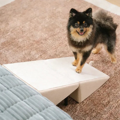 2-in-1 Convertible Dog Ramp and Step Stool 7