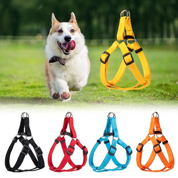 Adjustable Dog Harness with Breathable Nylon for Comfort and Safety | Perfect Fit for Dogs and Cats 0