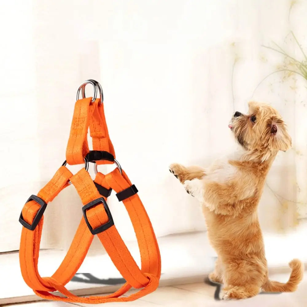 Adjustable Dog Harness with Breathable Nylon for Comfort and Safety | Perfect Fit for Dogs and Cats 1