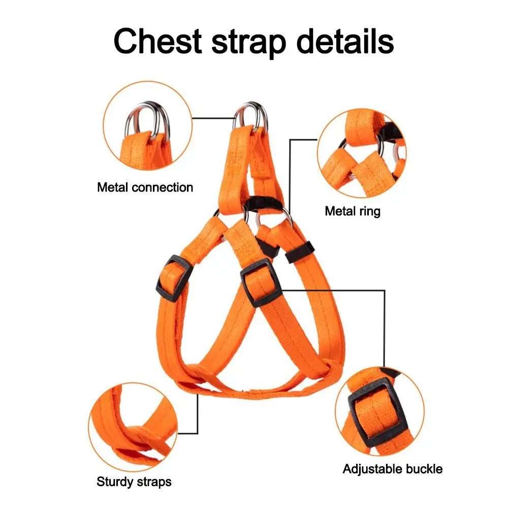 Adjustable Dog Harness with Breathable Nylon for Comfort and Safety | Perfect Fit for Dogs and Cats 3