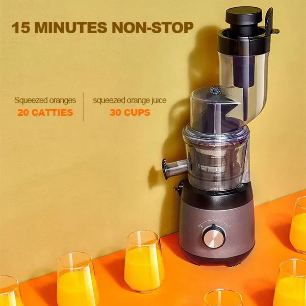 Automatic Juicer - Juicer Household Residue for Fruits and Vegetables 6