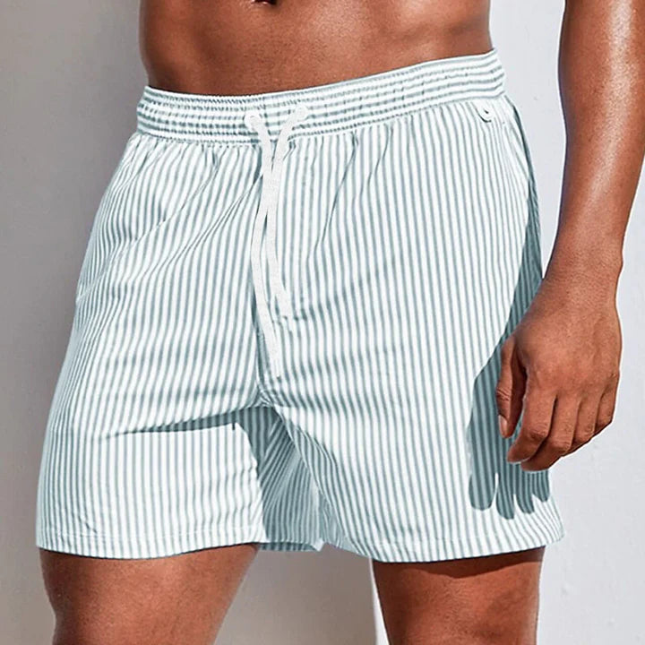 Bruce | Striped Quick-Dry Swim Shorts 5