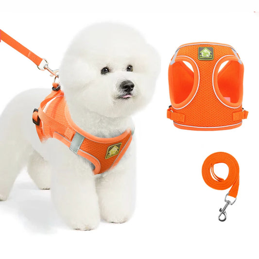Comfort Fit | Adjustable Dog Harness with Reflective Straps | Breathable Design for Safe and Comfortable Walks 0