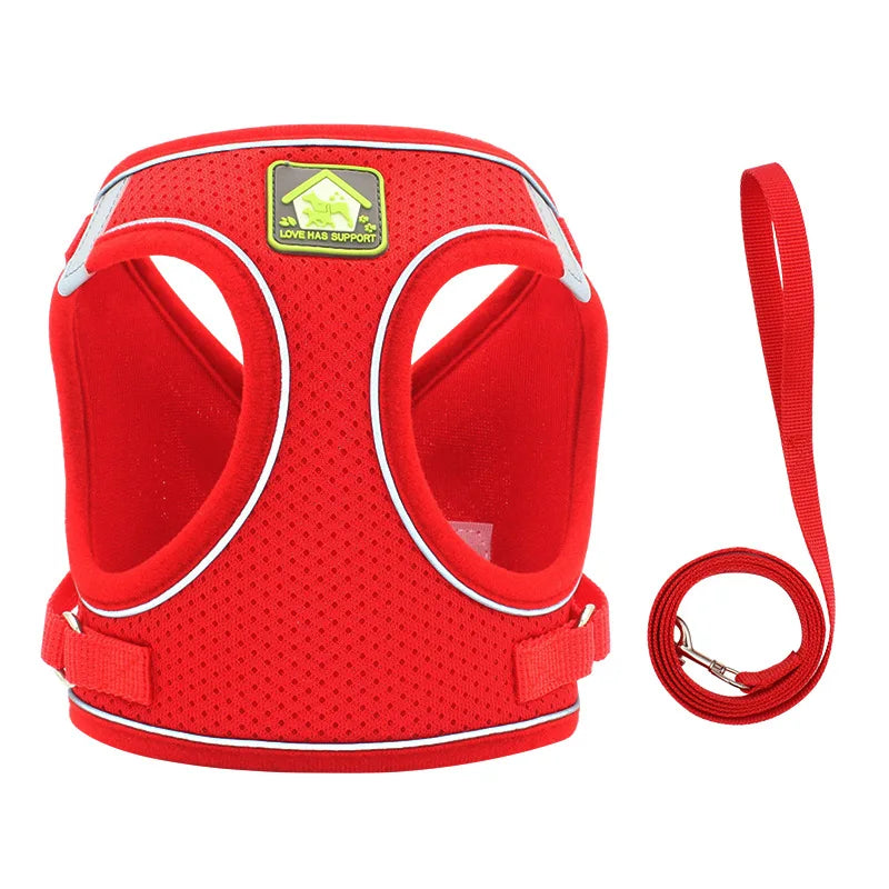 Comfort Fit | Adjustable Dog Harness with Reflective Straps | Breathable Design for Safe and Comfortable Walks 11