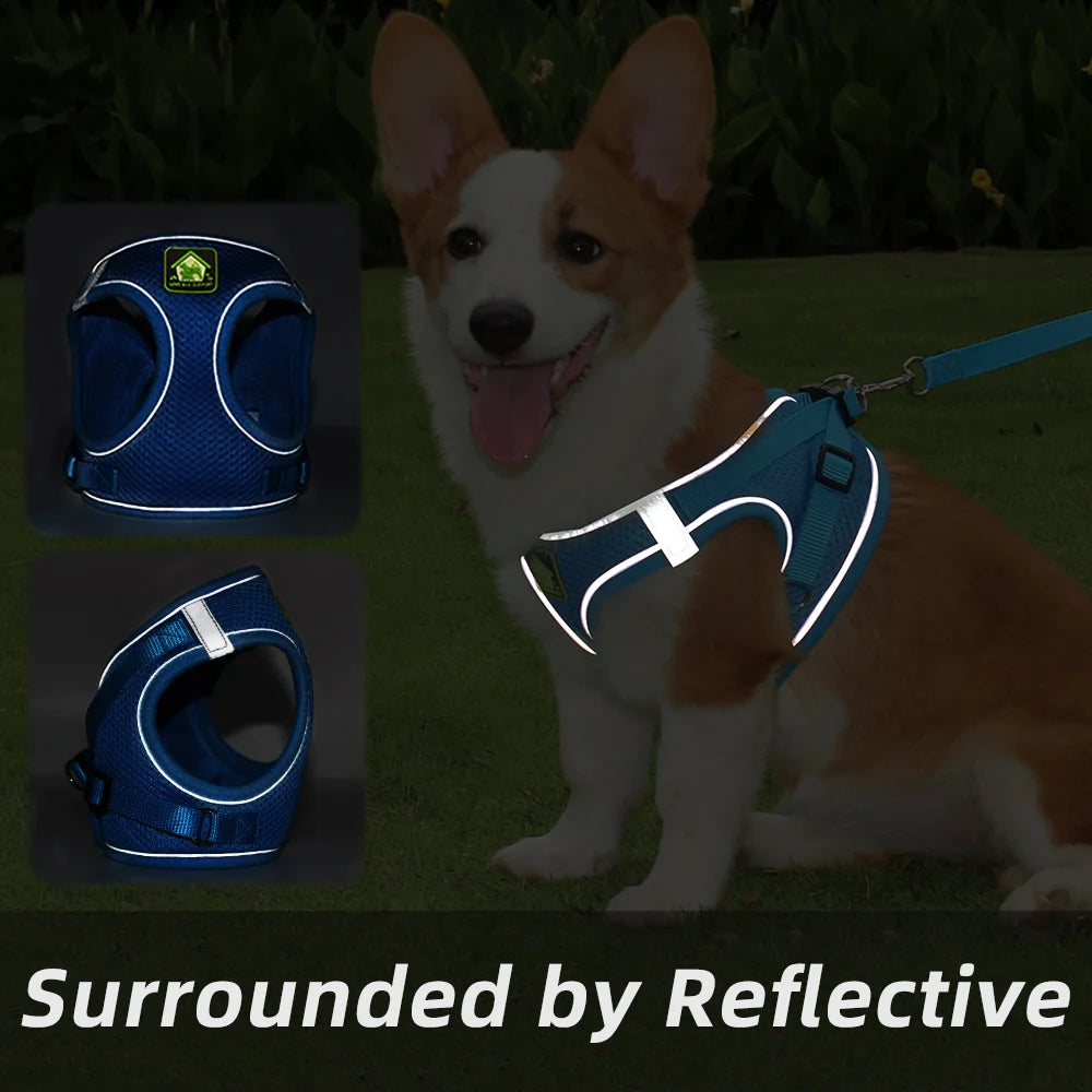 Comfort Fit | Adjustable Dog Harness with Reflective Straps | Breathable Design for Safe and Comfortable Walks 3