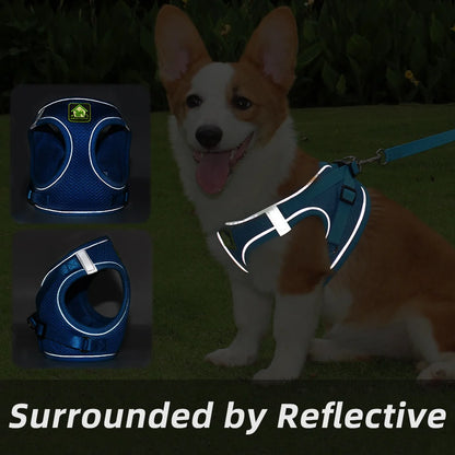 Comfort Fit | Adjustable Dog Harness with Reflective Straps | Breathable Design for Safe and Comfortable Walks 3