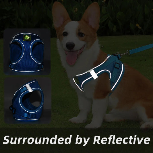 Comfort Fit | Adjustable Dog Harness with Reflective Straps | Breathable Design for Safe and Comfortable Walks 3