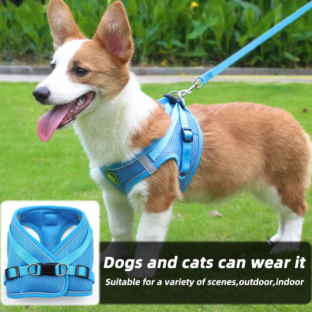 Comfort Fit | Adjustable Dog Harness with Reflective Straps | Breathable Design for Safe and Comfortable Walks 4