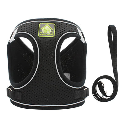 Comfort Fit | Adjustable Dog Harness with Reflective Straps | Breathable Design for Safe and Comfortable Walks 7