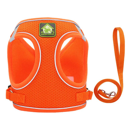 Comfort Fit | Adjustable Dog Harness with Reflective Straps | Breathable Design for Safe and Comfortable Walks 8