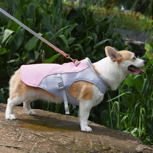 Dog Cooling Vest for Outdoor Activities 1