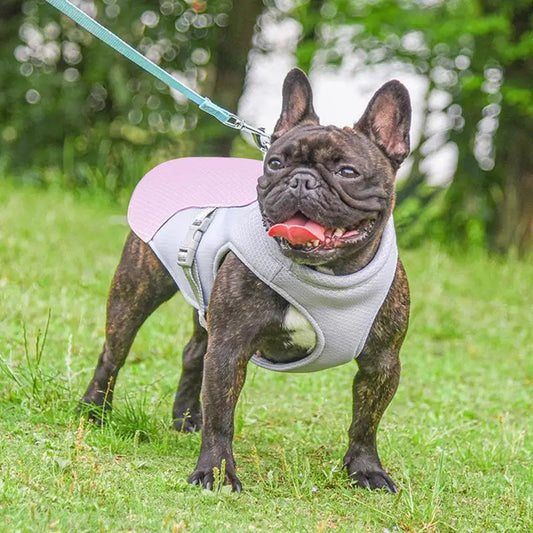 Dog Cooling Vest for Outdoor Activities 3