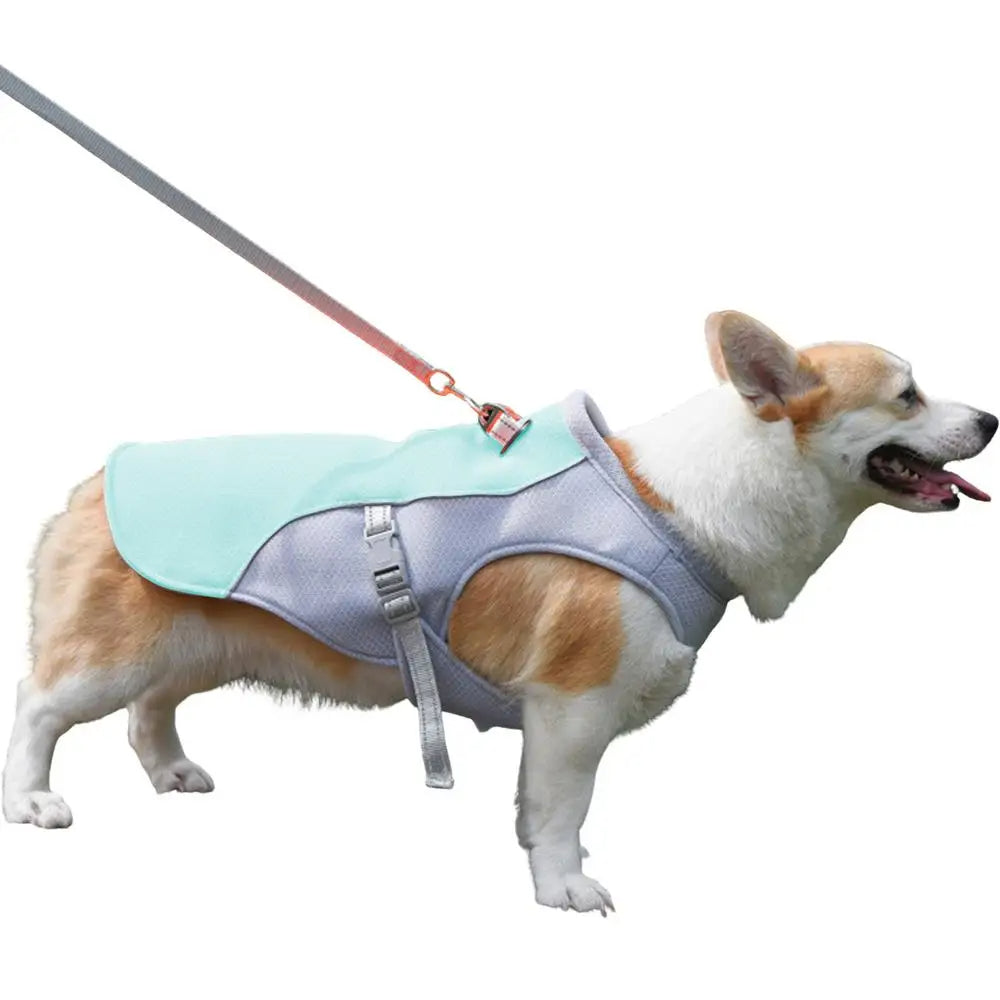 Dog Cooling Vest for Outdoor Activities 7