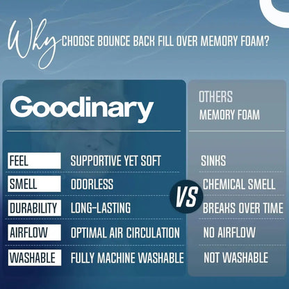 Goodinary® Double Support Travel Pillow 3