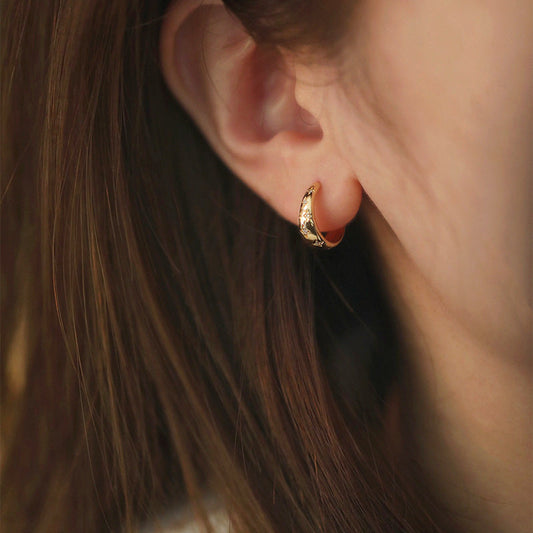 Luxurious Gold and Silver Earrings 1