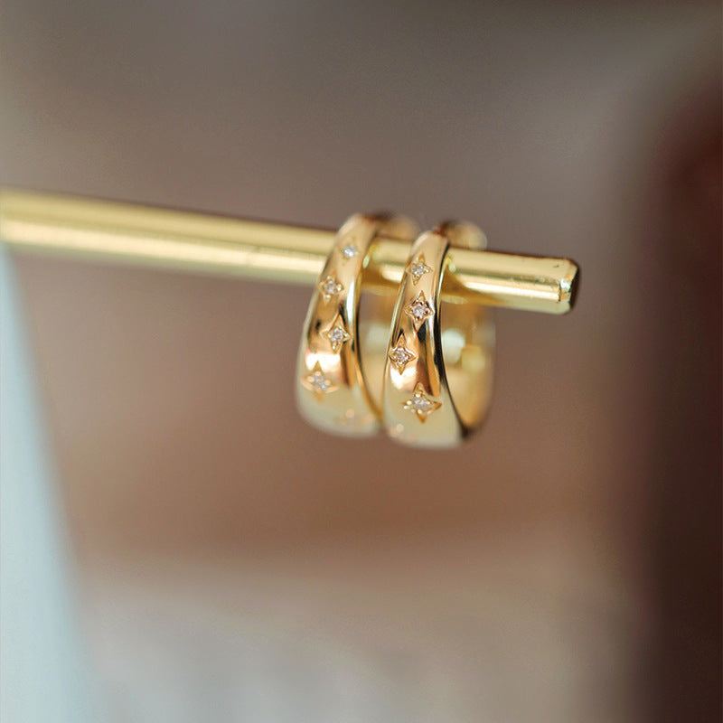 Luxurious Gold and Silver Earrings 2