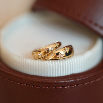 Luxurious Gold and Silver Earrings 3