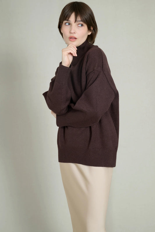 Soft and warm chocolate high-neck sweater 0